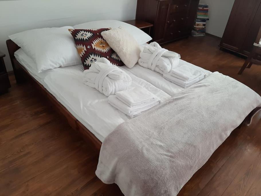 Dom Na Polanie Villa Brzeznica  Ngoại thất bức ảnh